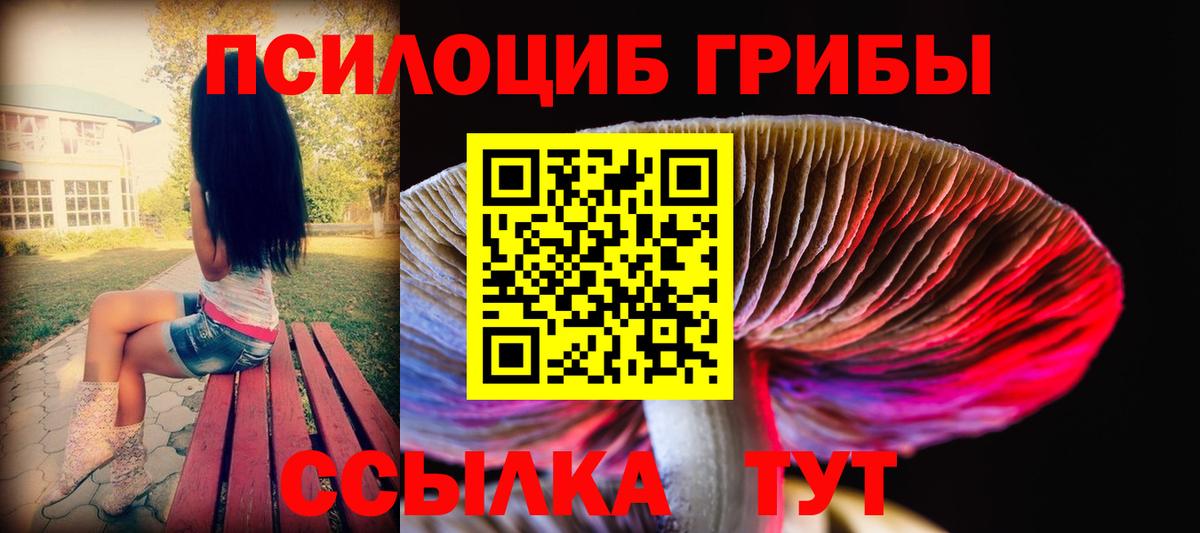 Волжск  Галлюциногенные грибы мицелий  Вход с VPN 